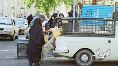 ساماندهی وانتی ها