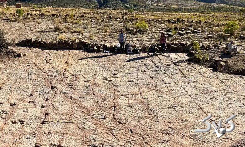 ردپای دایناسورها