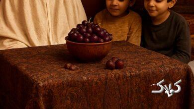 یلدا شمررون