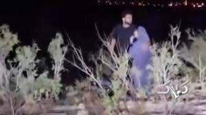 حوادث نجات زوج بندر لنگهای