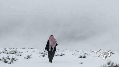 برف در عربستان