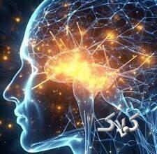 صاویر داخل مغز