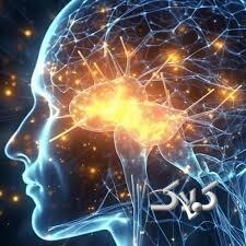 صاویر داخل مغز