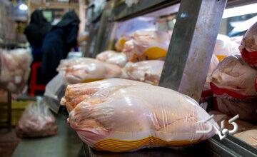 مرغ ۴۰۰ هزار تومانی در راه است؟/ زنگ خطر به صدا در آمد