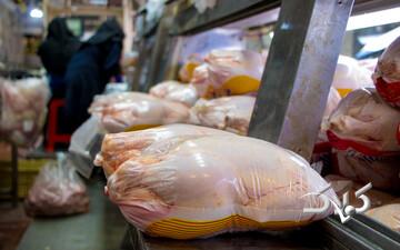 مرغ ۴۰۰ هزار تومانی در راه است؟/ زنگ خطر به صدا در آمد