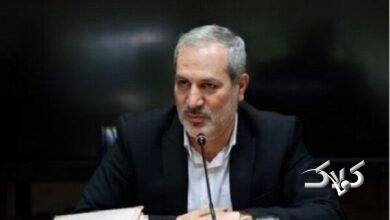 بحری زاده: کتاب‌های درسی حجیم و فرصت سوز هستند