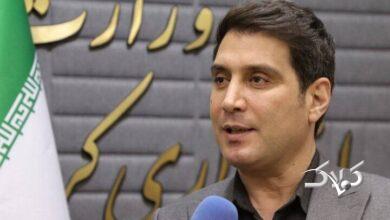 تشریح وضعیت فعالیت مادران شاغل در کردستان