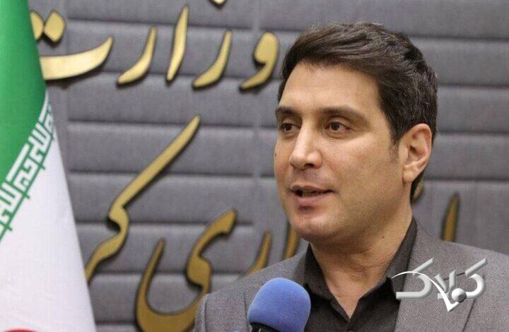 تشریح وضعیت فعالیت مادران شاغل در کردستان