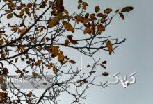 احمدی نژاد: هوای برخی مناطق استان ایلام به زیر صفر رسید