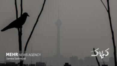 مدارس ابتدایی تهران شنبه غیر حضوری شد؛ زوج و فرد از درب منزل