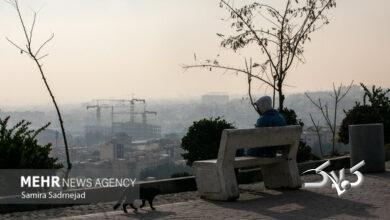 تمدید دورکاری ادارات در برخی شهرهای استان تهران؛ مراکز آموزشی مجازی شد