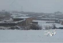 تصاویری از بارش برف در تکاب و سلماس