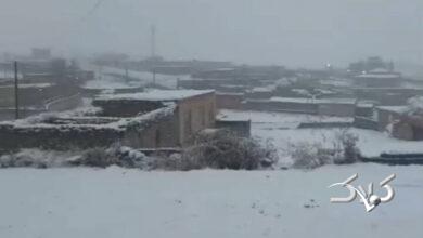 تصاویری از بارش برف در تکاب و سلماس