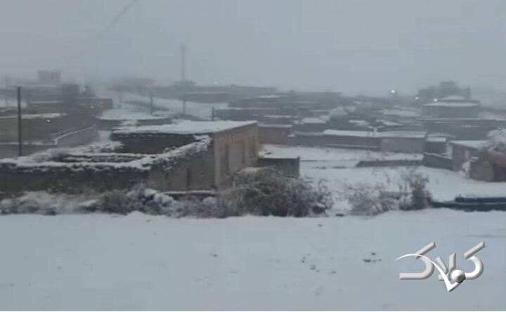 تصاویری از بارش برف در تکاب و سلماس