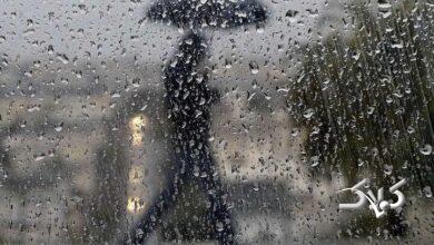 میهن پرست:سامانه بارشی جدید از شنبه وارد ایلام می شود