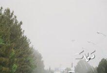 شاخص هوای شیراز امروز ناسالم است