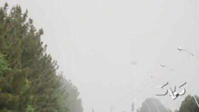 شاخص هوای شیراز امروز ناسالم است