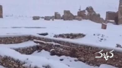 تصاویری از بارش برف در تکاب و چالدران