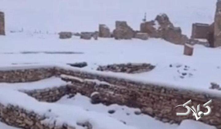 تصاویری از بارش برف در تکاب و چالدران