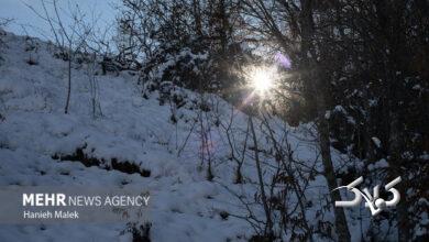 تصاویری از بارش شدید برف به همراه کولاک در مناطق مختلف آذربایجان غربی