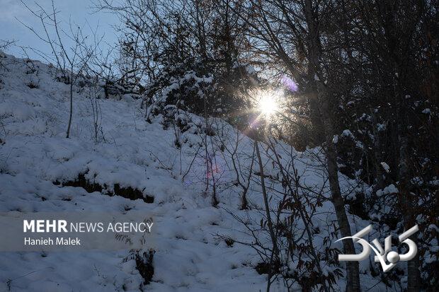 تصاویری از بارش شدید برف به همراه کولاک در مناطق مختلف آذربایجان غربی