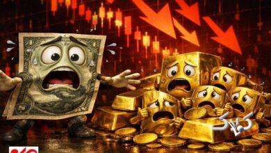 سیلی بازار طلا به خریداران هیجانی؛ ریزش قیمت سکه ۲۰ میلیون تومانی شد