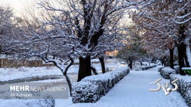 هشدار نارنجی در استان سمنان؛ همنشینی برف، کولاک و یخبندان