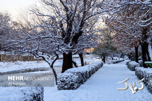 هشدار نارنجی در استان سمنان؛ همنشینی برف، کولاک و یخبندان