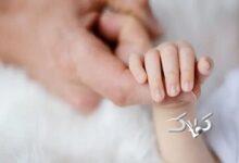 سبقت مرگ از تولد در این استان شمالی کشور