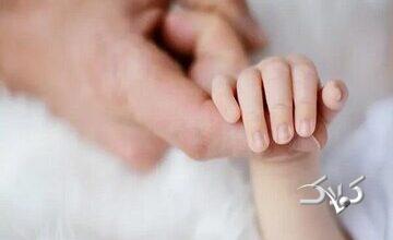 سبقت مرگ از تولد در این استان شمالی کشور