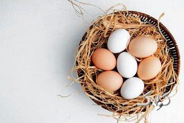 فواید معجزهآسای این ماده غذایی برای پوست و مو