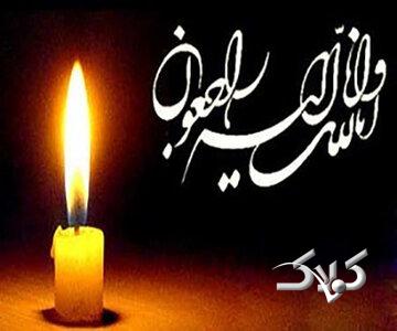 مرگ تلخ زوج دانشجوی دانشگاه تهران/ جزئیات