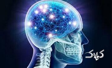 مصرف این غذاها به مغز آسیب میرساند