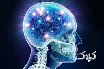 مصرف این غذاها به مغز آسیب میرساند