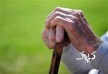 دهه شصتی‌ها در سال ۱۴۳۰؛ سالمندی یک نسل پرجمعیت/  ایران تا ۶ سال دیگر یک میلیون سالمند مجرد خواهد داشت