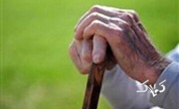 دهه شصتیها در سال ۱۴۳۰؛ سالمندی یک نسل پرجمعیت/ ایران تا ۶ سال دیگر یک میلیون سالمند مجرد خواهد داشت