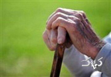 دهه شصتیها در سال ۱۴۳۰؛ سالمندی یک نسل پرجمعیت/ ایران تا ۶ سال دیگر یک میلیون سالمند مجرد خواهد داشت