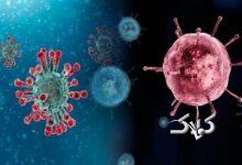 هشدار؛ شروع اپیدمی آنفلوآنزا / مصرف خودسرانه این دارو می‌تواند مرگبار باشد