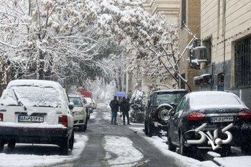 بارش برف و باران در ۱۶ استان/ هشدار کاهش محسوس دما