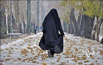 زیرساخت عفیفانه فرهنگ ایرانی، نویدبخش آینده روشن