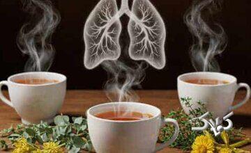 شش دمنوش عالی برای مقابله با آلودگی هوا