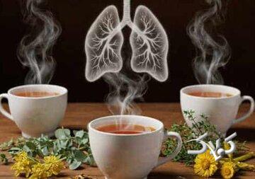 شش دمنوش عالی برای مقابله با آلودگی هوا