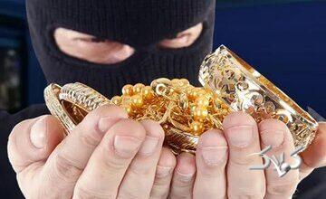 استفاده سارقان از طلایاب برای سرقت از منزل/ واکنش پلیس