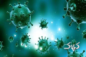 ثبت دومین فوت قطعی ناشی از آنفلوانزا در این استان