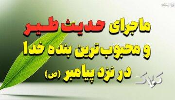 ماجرای شگفتانگیز حدیث طیر و محبوبترین بنده خدا در نزد پیامبر (ص)