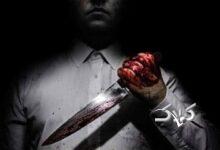 جزئیات قتل همسر رئیس تعزیرات همدان/ یک روز نبود که از دست مشکلات خانوادگی اشکش درنیاید