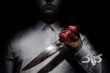 جزئیات قتل همسر رئیس تعزیرات همدان/ یک روز نبود که از دست مشکلات خانوادگی اشکش درنیاید