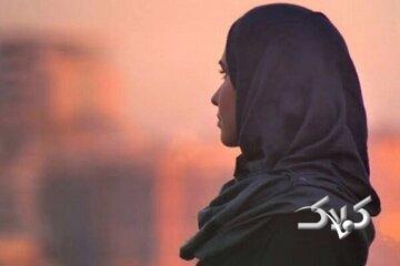 اگر کرسیهای فاطمه شناسی ادامه می یافت،تعریف زن را در غرب تغییر میداد