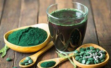 اعلام زنگ خطر برای مصرف این نوع جلبک