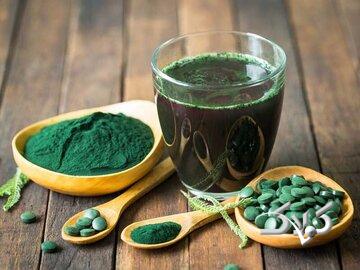 اعلام زنگ خطر برای مصرف این نوع جلبک